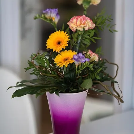 Fewo-prerow Преров